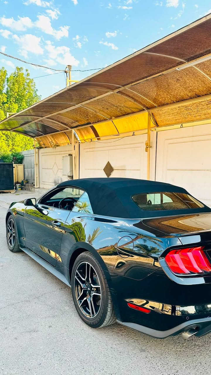 السلام عليكم
-فورد موستنگ  Ford Mustang  ✅
-موديل  2023  كشف قماش ✅
-محرك 2300 توربو Ecopost ✅
-رقم اربيل الدولي تحويل او وكالة ثاني يوم ✅
-حادث بنيد فقط فقط بدون دواخل وايرباك ✅
-ماشية 65.000 حقيقي  ✅
-سيارة جديدة بمعنى الكلمة ✅
مواصفات السيارة :
-كشف
-محرك 4 انظمة قيادة 
(نورمال - سبورت - تراك - ثلجي/رطب )
-الگير  10 سرعات (نمر)
-الاستيرن تدفئة تبريد + 3 انظمة قيادة 
( سبورت - نورمال - كومفرت )
-كشنات جلد كهرباء + تدفئة تبريد
-مانع انزلاق 
وباقي المواصفات تجون وتشوفوها السيارة نظيفة ومكفولة كفالة عامه 
السعر 175 وبيها مجال بسيط
العنوان بغداد البلديات 
للاستفسار ***********
صور الحادث بالمنشور
