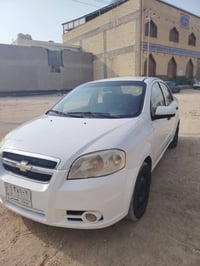 افيو • ٢٠١١ • نمر كربلاء