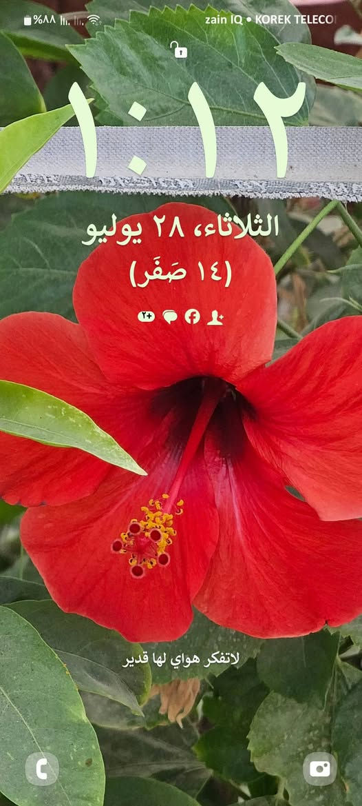 يااافتاح يارزاق

Samsung Galaxy A52

الذاكرة العشوائية 8

التخزين الداخلي 256

اللون اسود

النضافة 60%

الصيانة : نعم داخل صيانه تم تغير سماعة الخارجيه للاصوات 

الصوت  : استريو 

يدعم الشحن السريع بقوة 25 واط

السعر 170 الف وبي مجال تدلل
_______________________________________________________
اذا يعجبك هيج جهاز وتحب تشتري حياك الله راسلني واتساب

***********
