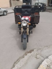 ستوته • موديل ١٠ • راعيه