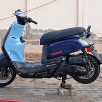 بوليس نوزل • ٢٠١٧ • كفالة