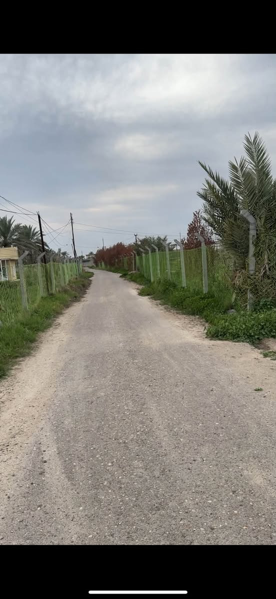 دونم للبيع  سند ٢٥ _ ابو غريب- حميد شعبان 
 خدماته : ماء كهرباء تبليط
الواجهة: 33.4 متر 
النزال: ٧٥ متر 
*********** 
*********** بي واتساب
