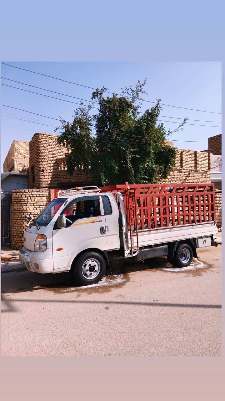 موديل 12 • فحل • كاردن وأكسل كفالة