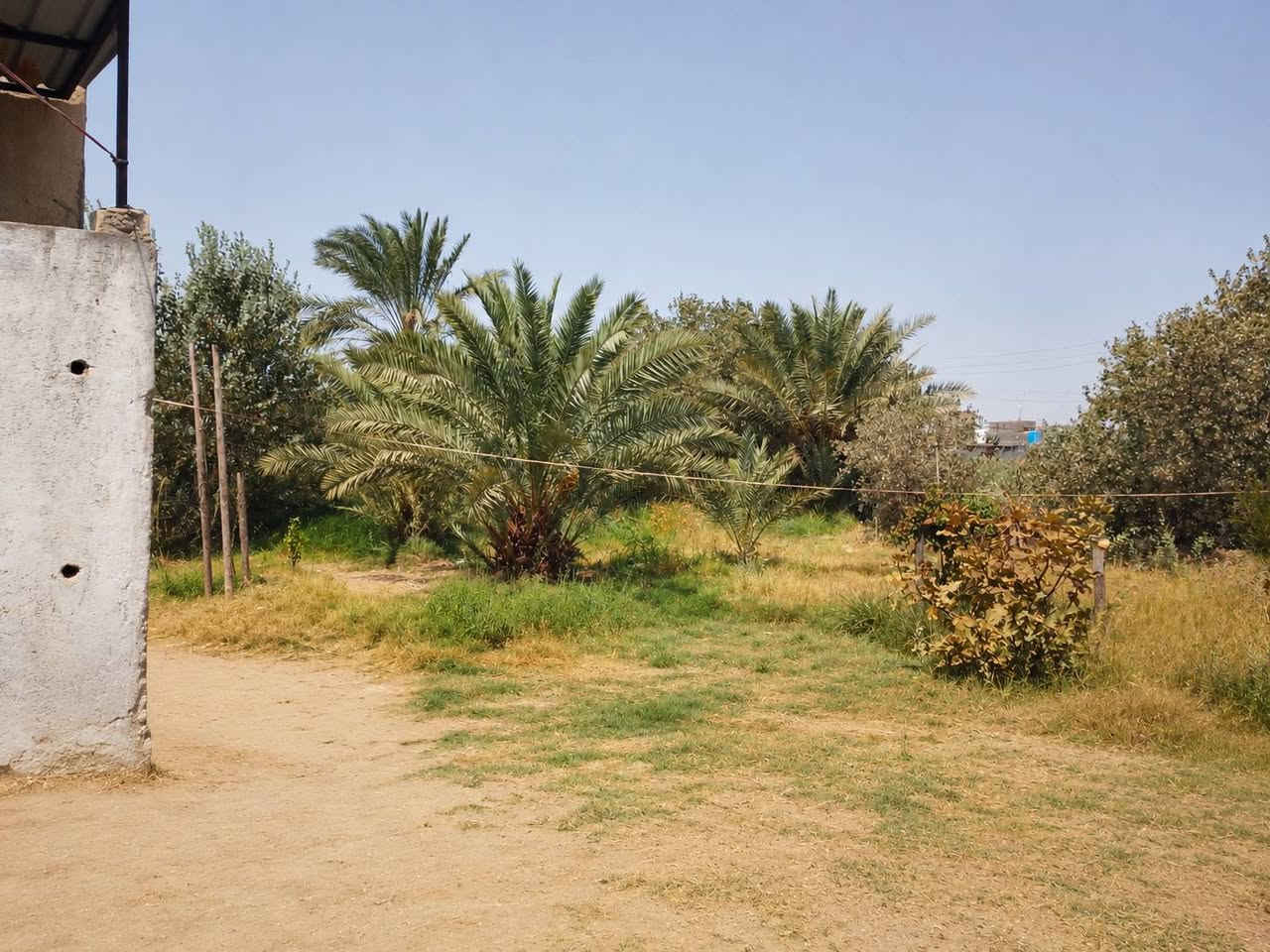 السلام عليكم  من رخصت مدير الكروب  بيت  البيع مساحه 350  معا البستان  مكاني النصر قرب  بيت عادل حاشوش السعر 70 والستفسار علا هاذا الرقم ***********
