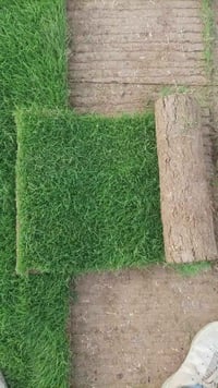 ثيل طبيعي • مشاتل • توصيل