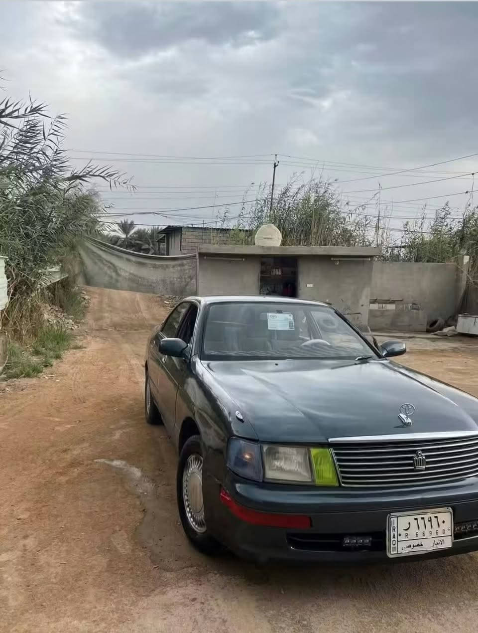 بطه • موديل ١٩٩٢ • مصبوغه