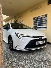 كورلا هايبرد • ٢٠٢٥ • نمر بغداد