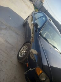 سبكترة • ٢٠٠٣ • ديالى كنعان