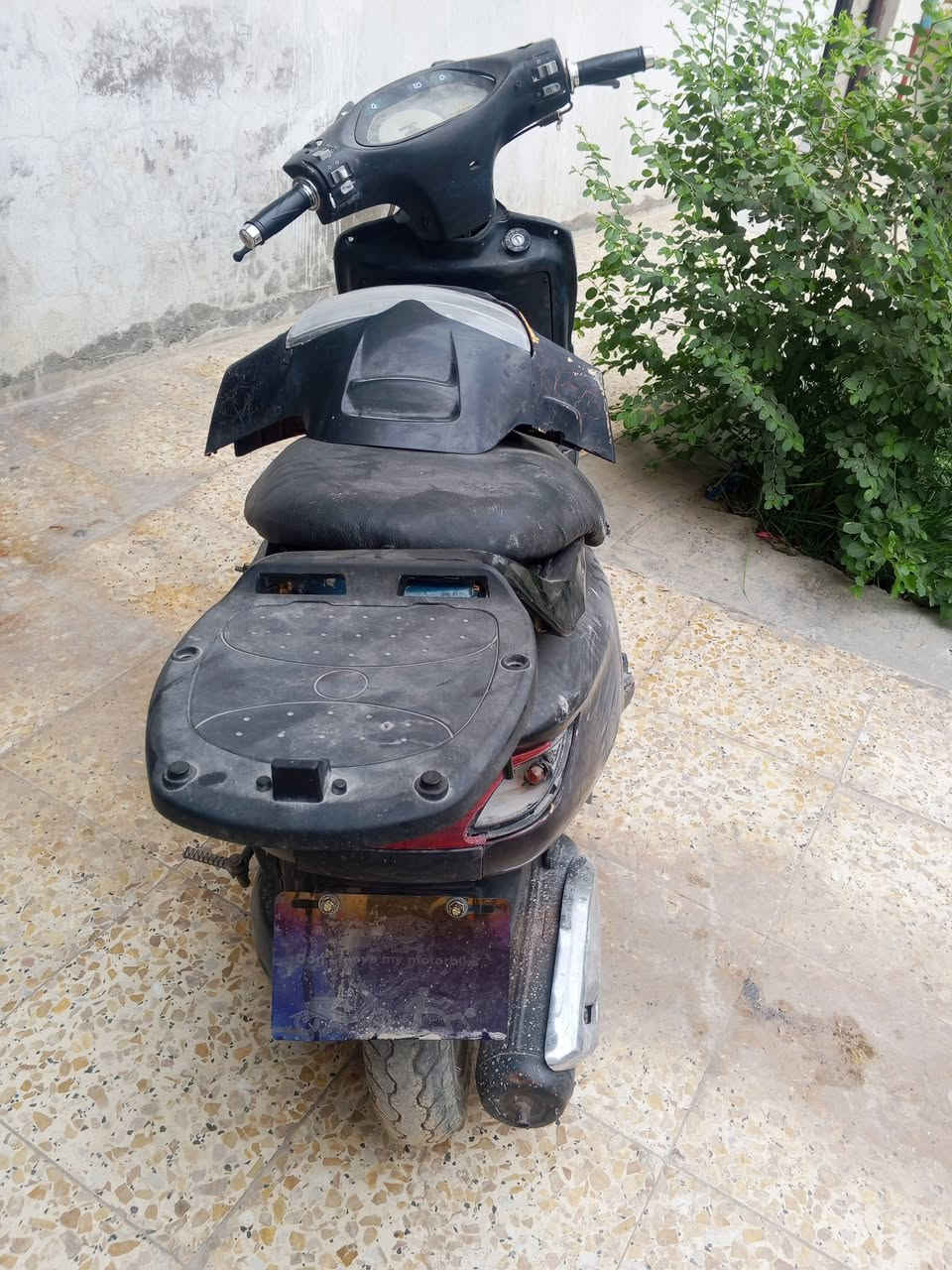 فراشه • فحل • مكينه جديده