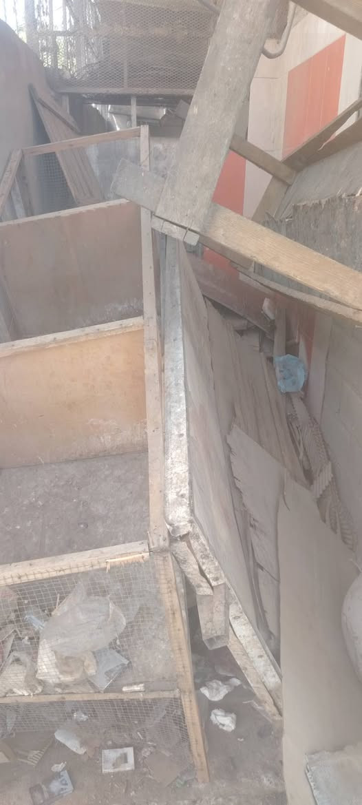 بيع غراض سمج كاملة
٣٠ شبجة
قاعدة رولة
منقلة
بيكم خشب
مكان مدينت الصدر
رقم  ***********
