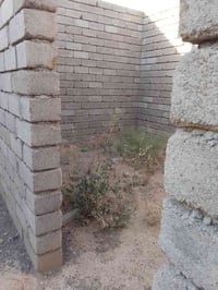 هيكل • القيارة موصل • ٣٠٠م