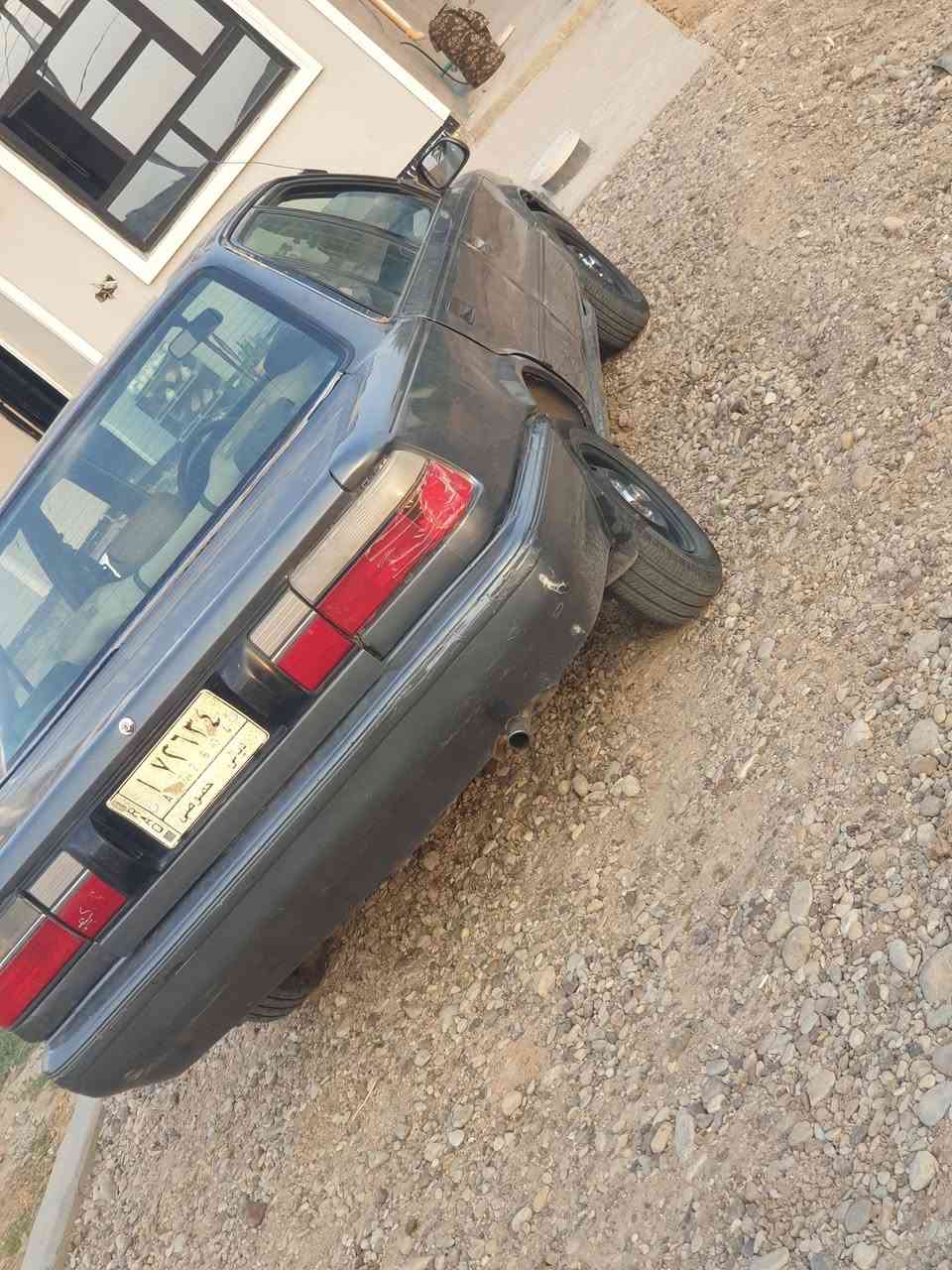 كورلا شطح • ١٩٩١ • رقم ديالى