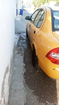 طيبة • ٢٠١٥ • رقم انكليزي