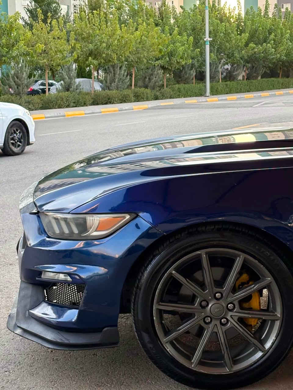 موستانگ V6 • ٢٠١٦ • سليمانية