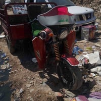 ستوته • ٢١٨ • أوراق كامله