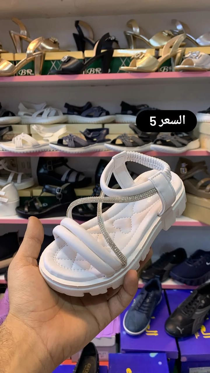 بابل المسيب • توصيل • حجز