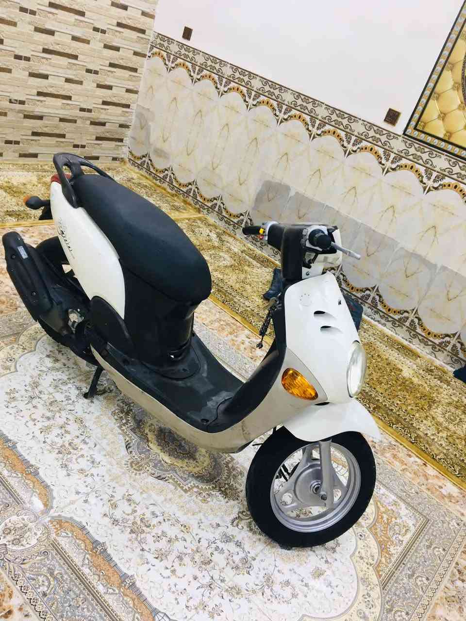 فله • مديل 12 • مكفولة