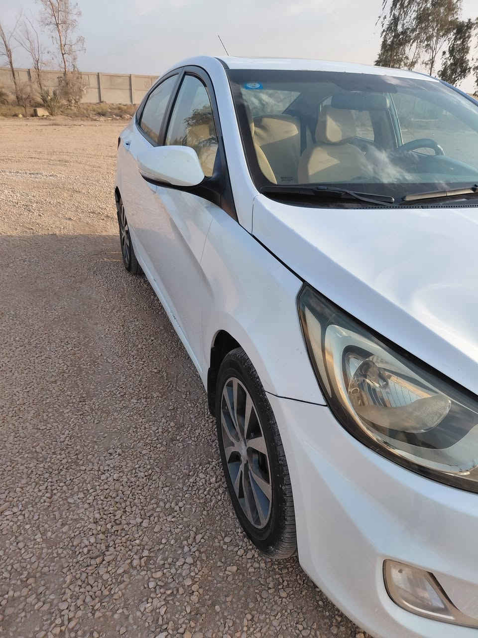 اكسنت ١٤ • رقم كربلاء • صبغ ربع