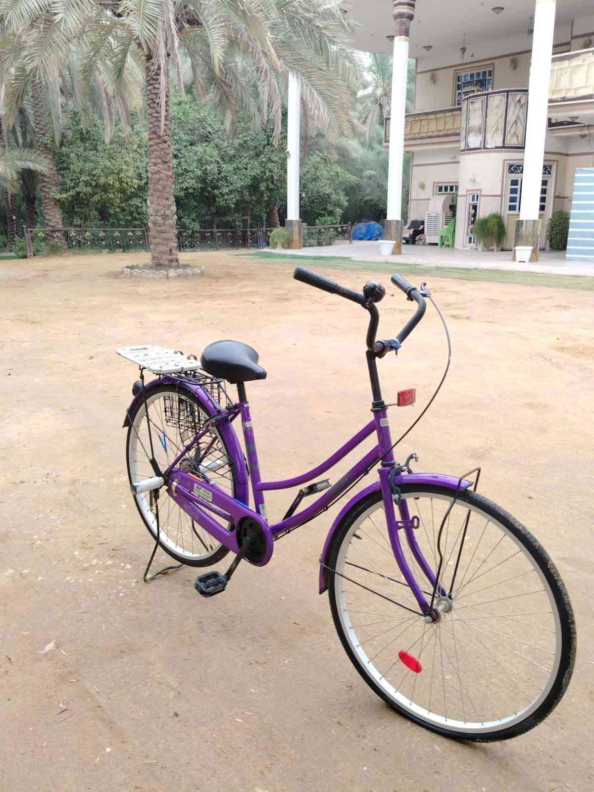 بايسكل • حجم ٢٦ • بنفسجي