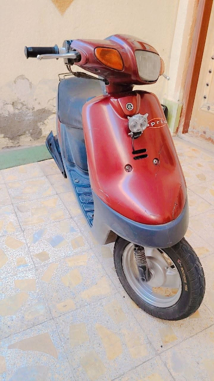 بس اليدور جديد مال جناي 
بتره خطين قفل اكسن شرط فحص مامفتوحه
  شرط كلشي بيه بلاد 
 550 بيه مجال  قليل
 مكاني ناصريه مركز رقمي ***********

