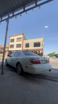 ماكسيما • ٢٠٠٢ • أربيل