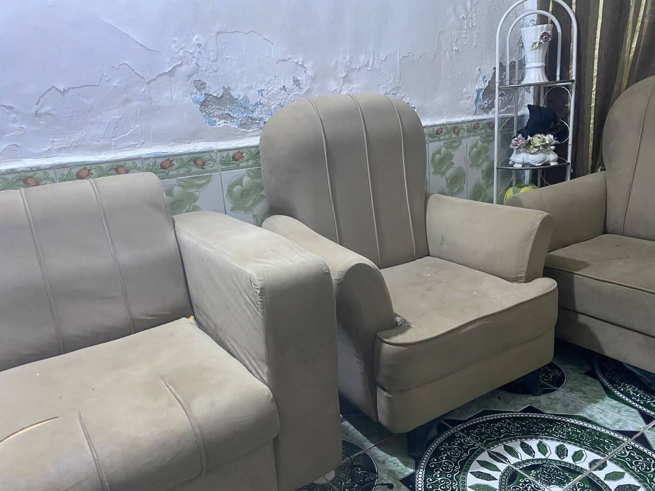 ٣٠٠ تخم • نضيف