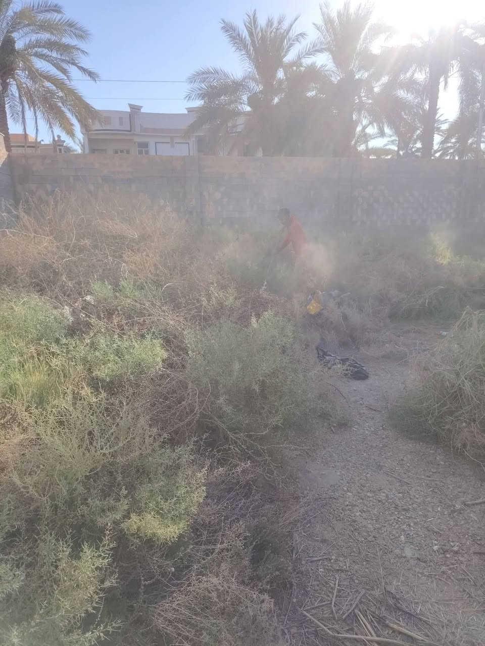***********📞سلام عليكم  /  يوجد كادر عمل جاهز /  تصعيد مواد /  تنضيف بيوت /  تفليش /  تكشيط /  دفن نهري /  شقلنه ليل ونهار /  ومعداتنه جاهزه  ومالك دخل بكلشي تأخذ شقل جاهز مني سلمني شقل وتأخذ شقل جاهز / ماعليك بس تصال على رقم ///  وسياره تجيك للبيت // وموجود واتساب
