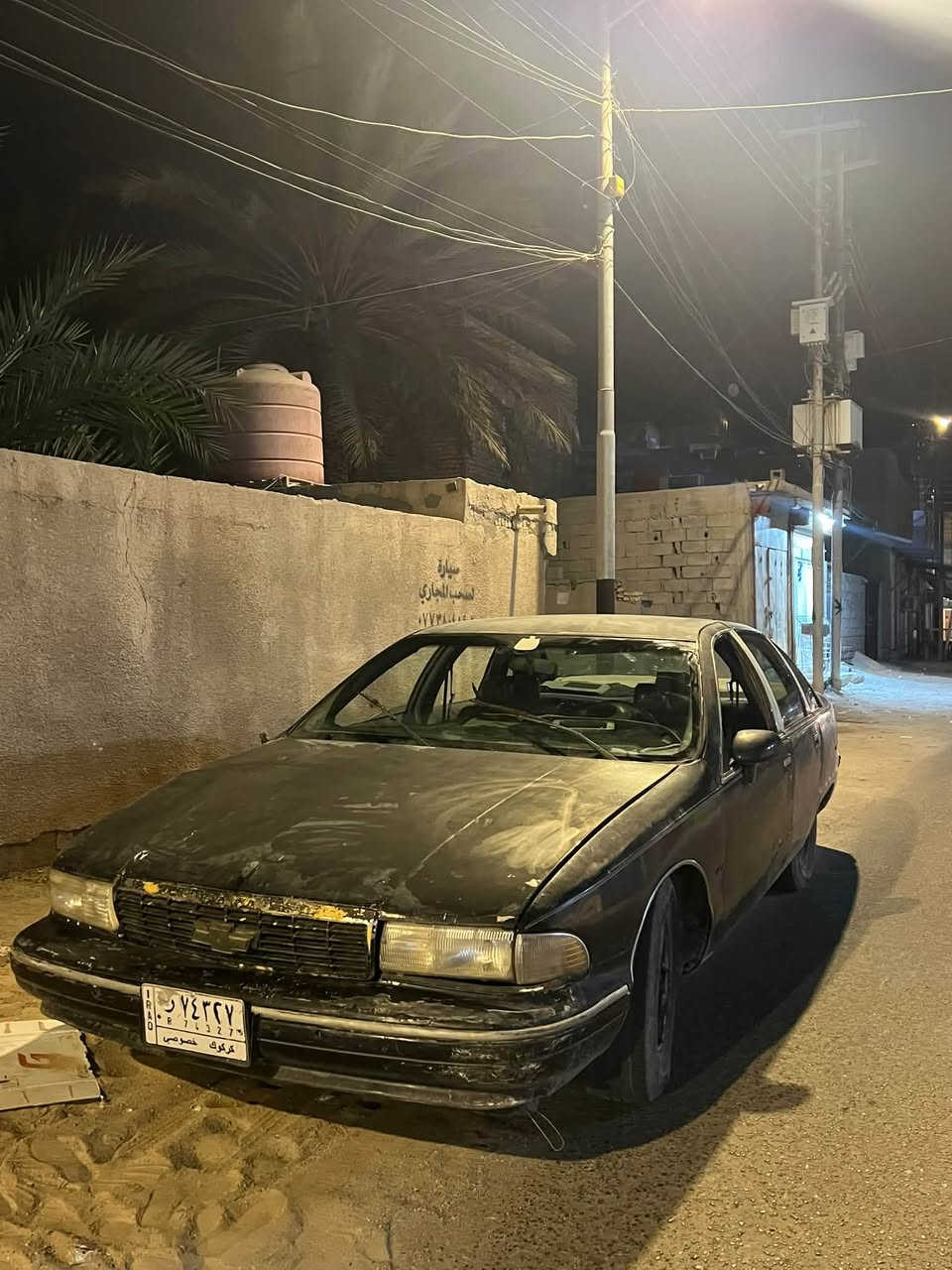 كابرس دولفين • ٩١ • مكفولات