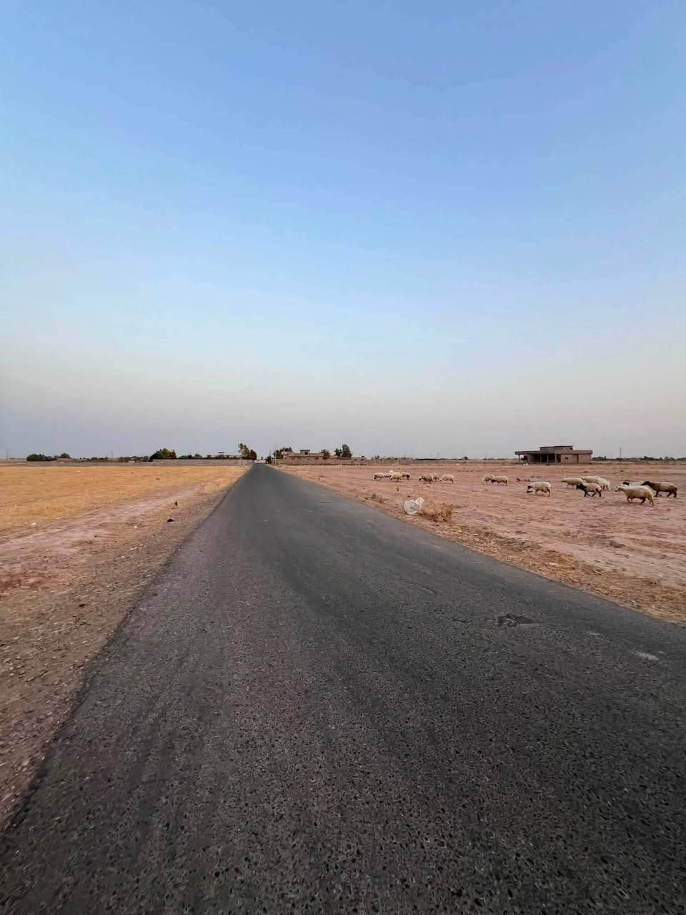 للبيع ارض زراعيه4 دومنم  في تكريت قريه الاعيوج خلف ملعب تكريت الدولي موقعها مميز ركن على شارعين اسواقات وجامع ومدرسه  ومستوصف  وصيدليات وكهرباء  الارض مربعه وموقع مميز***********
