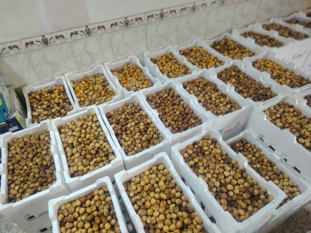 برحي رطب عثك السعر كيلو الفين دينار *********** العنوان السماوه

