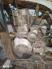 ستوته • أوراق • غراف