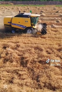 حاصدة • موديل ٢٠١٤ • نظافة ٩٠٪