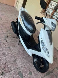 سايم نحله • كهربائيات • بدون اوراق