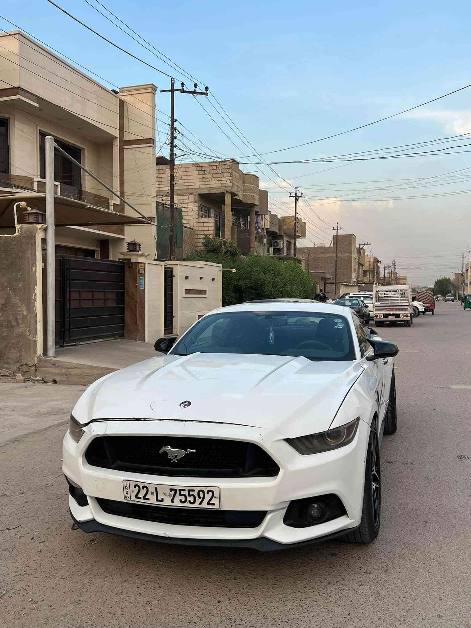 موستنك • ٢٠١٧ • ضرر