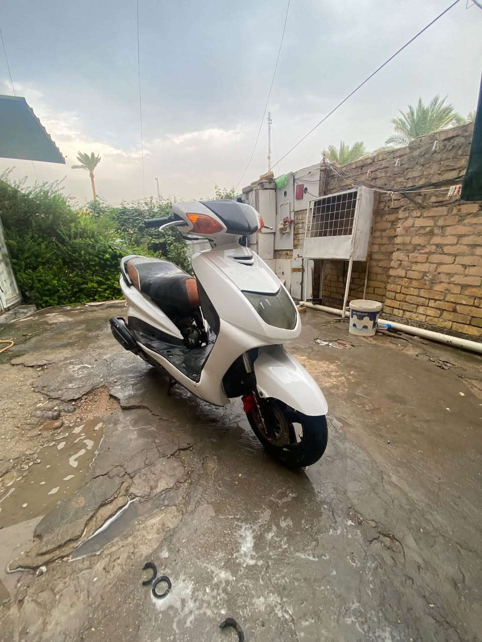 سكنس نثيه • ياباني • ١١٠