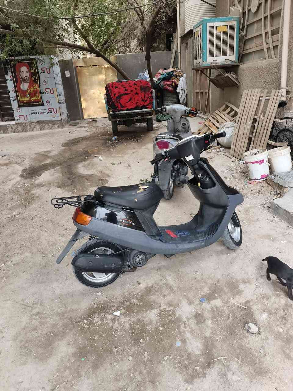 بطة • 2003 • كفاله