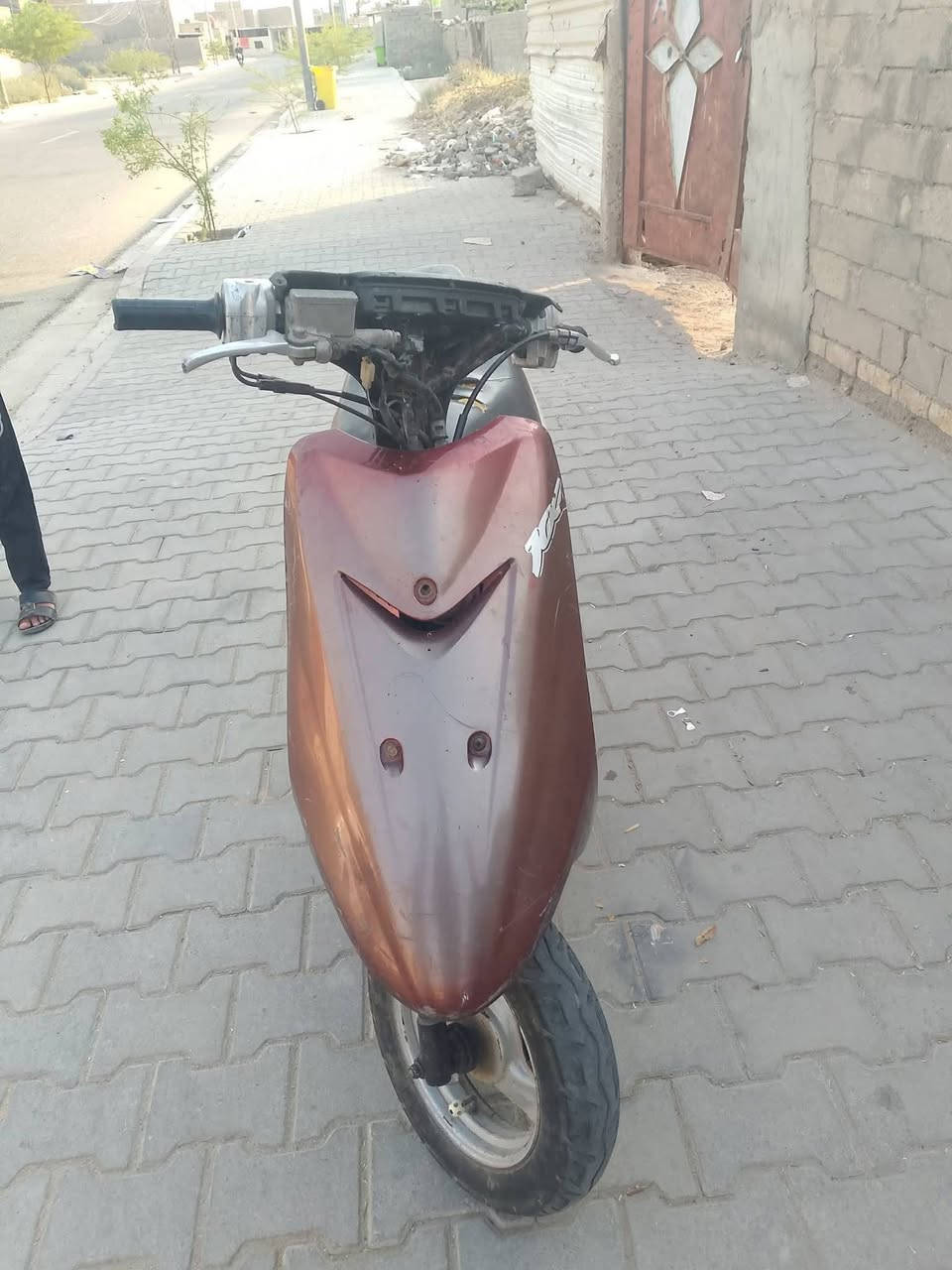 السلام عليكم عصفوري للبيع سعرخاص تجي وتكلب تعجبك تأخذه هذا رقم صاحبه ***********
