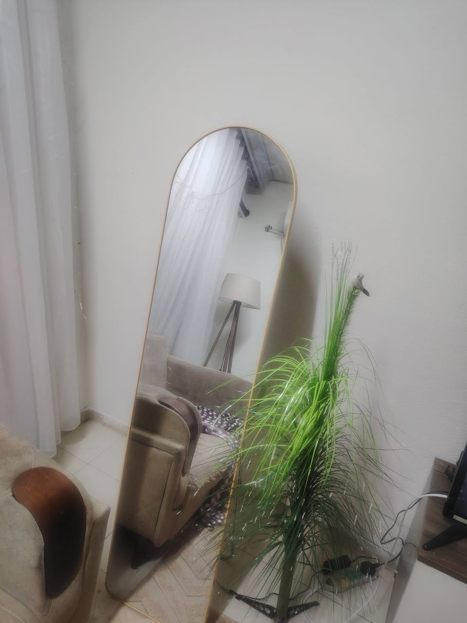 ديكور منزلي • بدون تفاصيل