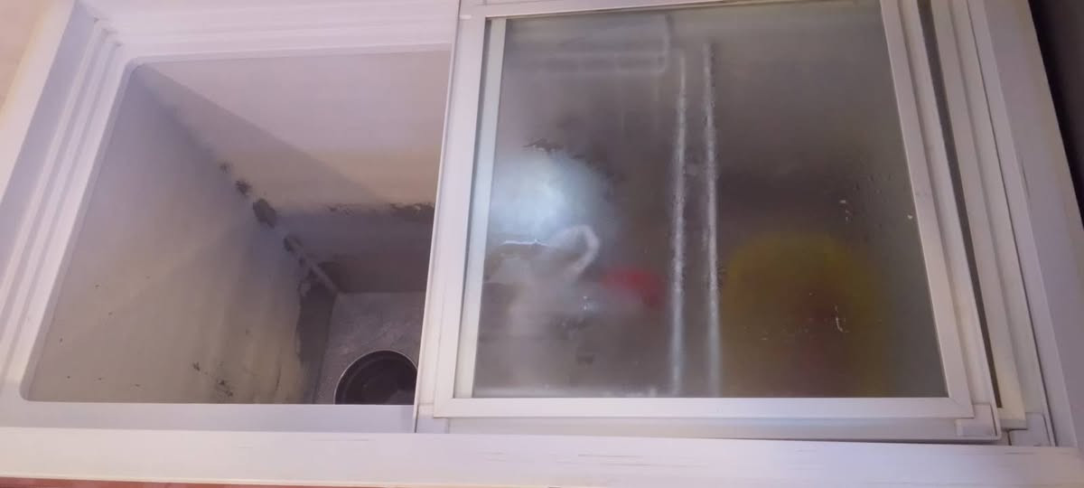 مجمدة • نضيفه • حي اور سبع قصور