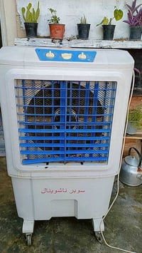 كونفيرا • شغاله • نوعية زينة
