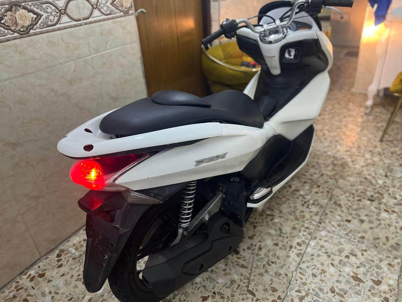 PCX • ياباني • اوراق كامله