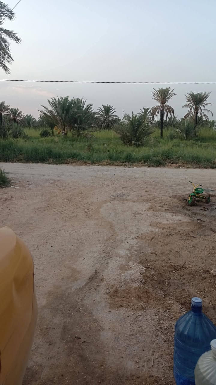سلام عليكم 1050 متر اللبيع مع بيت 200 متر سند 25 بيع مستعجل طريق كربلاء طوريج مدرسه أبا الفضل وتنزل تبليط السعر مناسب التفاصيل اكثر تصل برقم ***********
