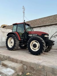 نيهولد • حجم ١٠٠ • منفيس
