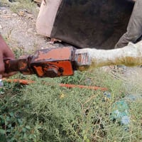 نقار بلادية • زيت كاملة • ديالى