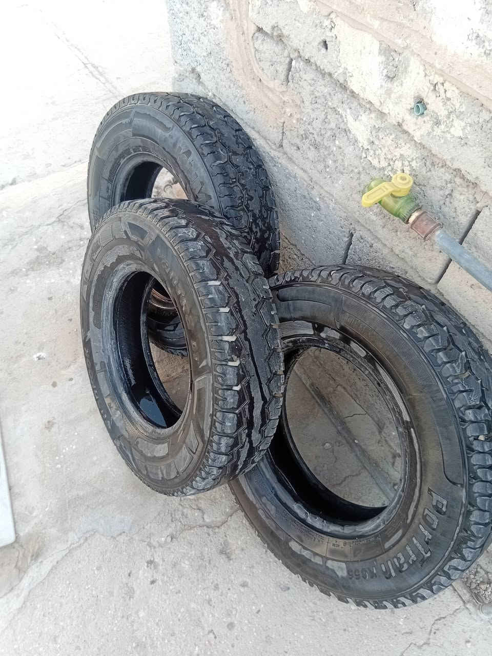 تايرات • خلفي • فحل
