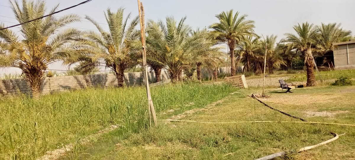 السلام عليكم يوجد ارض طابو سند 25 يوجد فيها 7 بيوت يوجد نخل حمال كافت الخدمات موجودة المكان بغداد التاجي قرب المصابيح بضهر المصابيح الاستفسار الاتصال *********** يوجد وات ساب
