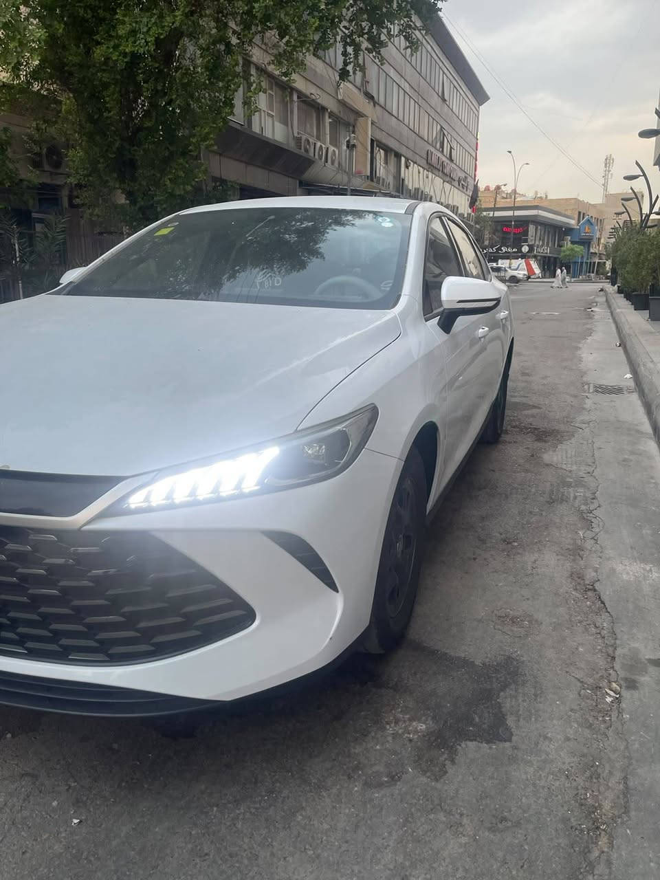كن بلاص • ٢٠٢٥ • ماشية ٨٠٠٠٠