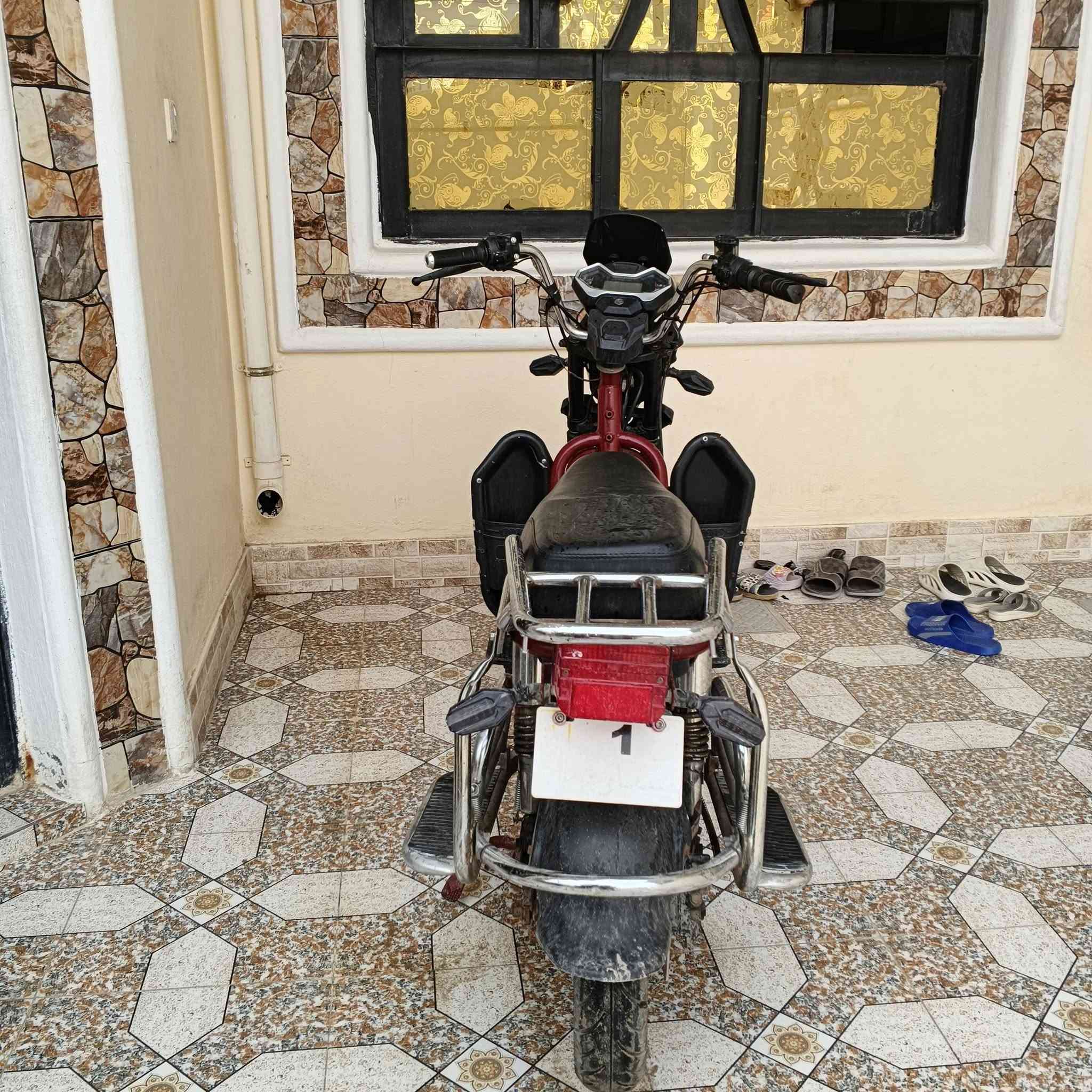 جبلي • ٢٠٢٣ • قشر نظيف