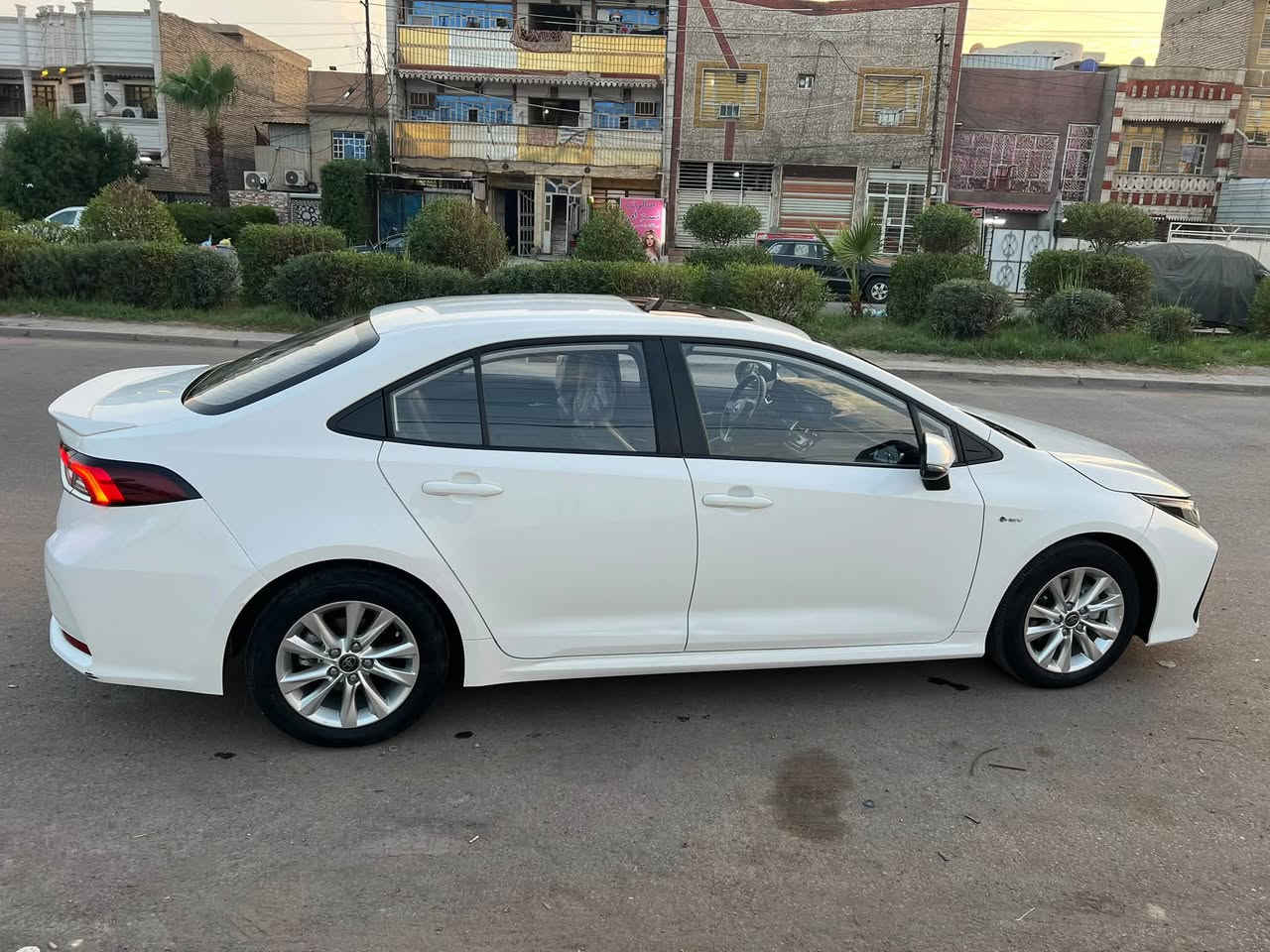 كورلا هايبرد • ٢٠٢٤ • حي اور