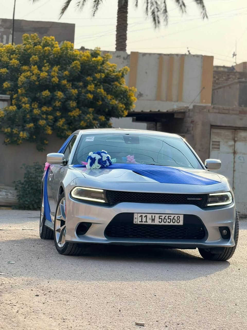 السلام عليكم
جارجر GT موديل 2021

رقم بغداد مشروع وطني 

مواصفات

كشن حضن GT

تشغيل عن بعد 

شاشة جبيره

كامره

صدر امامي خلفي كله جديد 

مابيه اي نقص 

صور حادثه موجوده بل منشور  

المكان بابل 

السعر ٢١٥ وبيه مجال بسيط 

للاستفسار ***********
